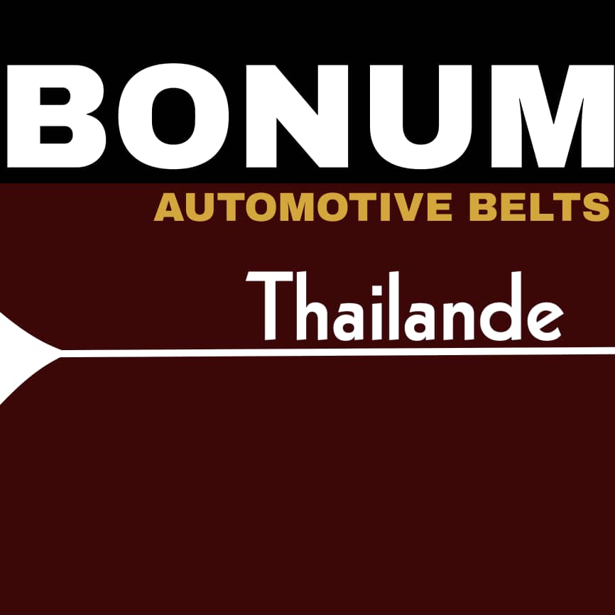 CHAINE DE DISTRIBUTION MITSU   GM 163D L300 L200 4D56 K64 K74 KA4T 4D55 4D56T BONUM