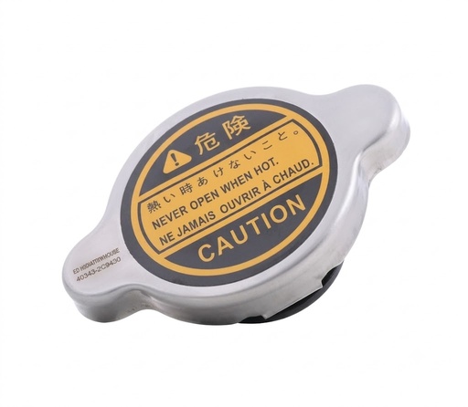 [CT-C09] BOUCHON RAD PM CT JAPAN 