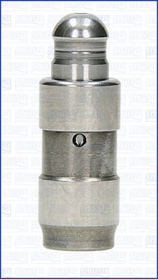 [13234-00Q0A] POUSSOIR NISS M9R QASHQAI J10 X-TRAIL T31 2.0 DCI 1PCS ORG